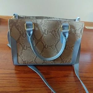 Charming Charlie Reptile and Light Blue Bag